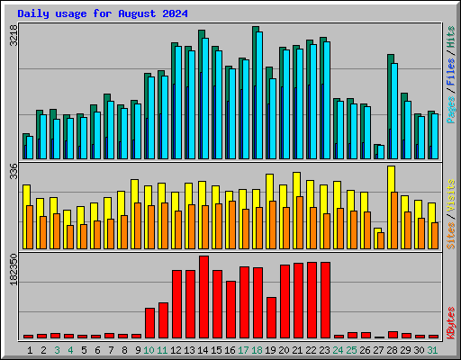 Daily usage for August 2024
