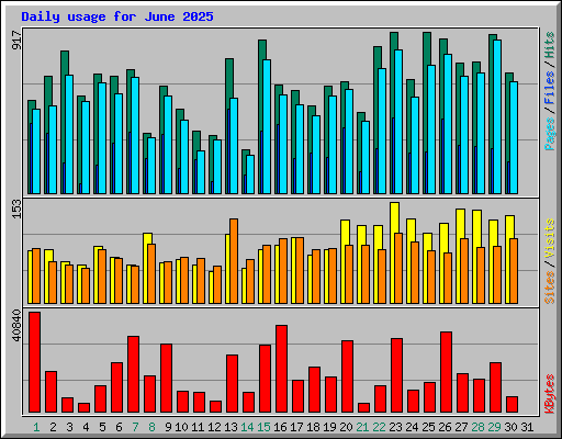 Daily usage for June 2025