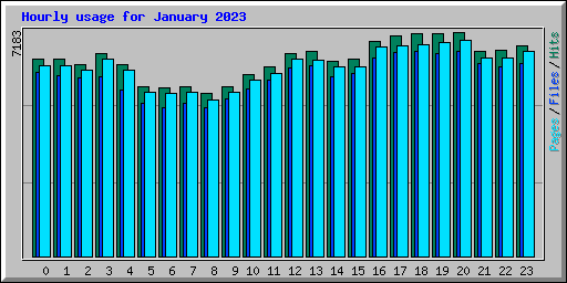 Hourly usage for January 2023