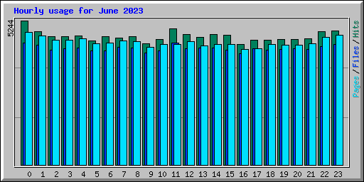 Hourly usage for June 2023