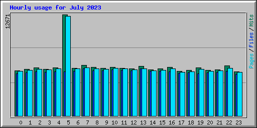 Hourly usage for July 2023