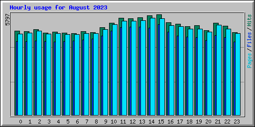 Hourly usage for August 2023