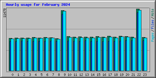 Hourly usage for February 2024