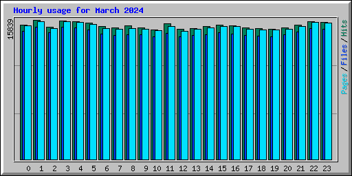 Hourly usage for March 2024