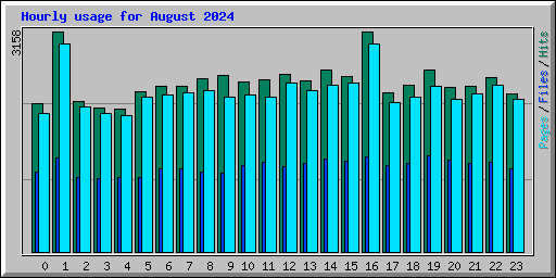 Hourly usage for August 2024