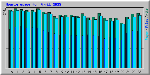 Hourly usage for April 2025