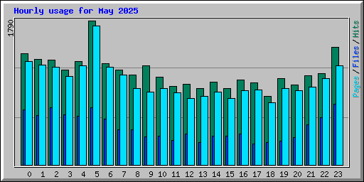Hourly usage for May 2025