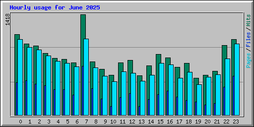 Hourly usage for June 2025