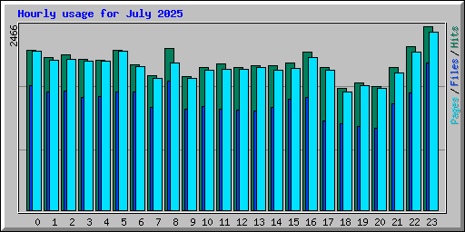 Hourly usage for July 2025