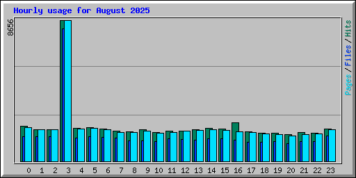 Hourly usage for August 2025