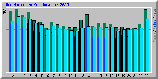 Hourly usage for October 2025
