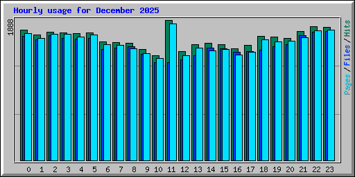 Hourly usage for December 2025